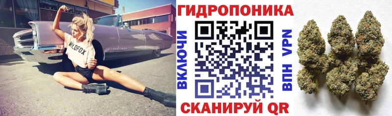 Наркота Апатиты Гашиш Меф мяу мяу