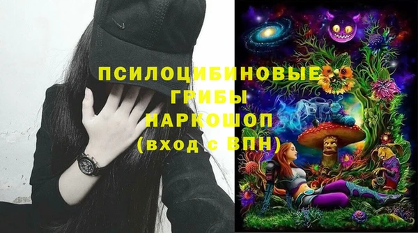 твердый Алексин
