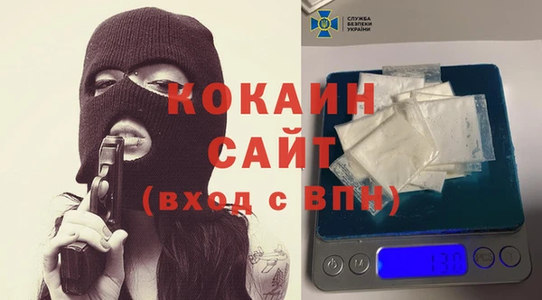 твердый Алексин
