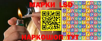 прущие крисы Владимир