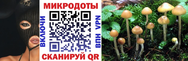 Галлюциногенные грибы прущие грибы  мориарти как зайти  Апатиты  mega как зайти 