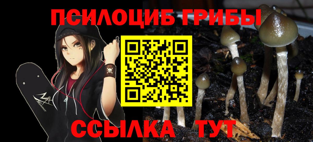 Апатиты  Галлюциногенные грибы мухоморы  Вход с VPN 