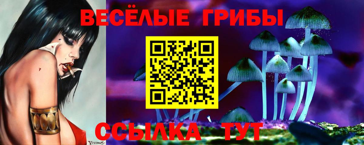 Псилоцибиновые грибы мицелий Апатиты